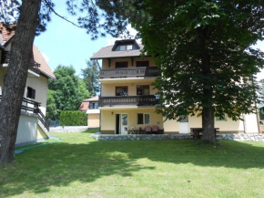 Apartment Mladenovic